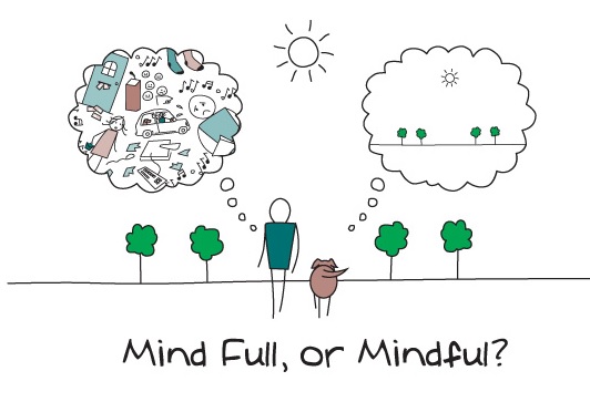 Mind Full or Mindful